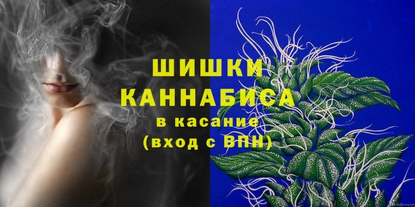 гашик Ладушкин