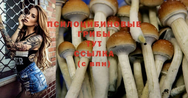 Альфа ПВП Лагань