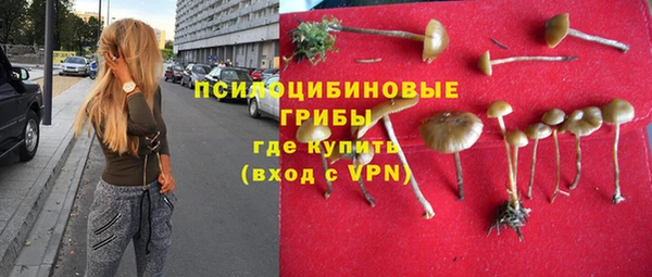 Альфа ПВП Лагань
