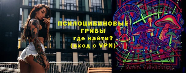 гашик Ладушкин