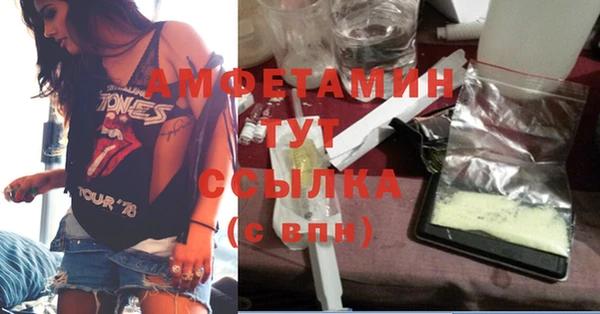 Альфа ПВП Лагань
