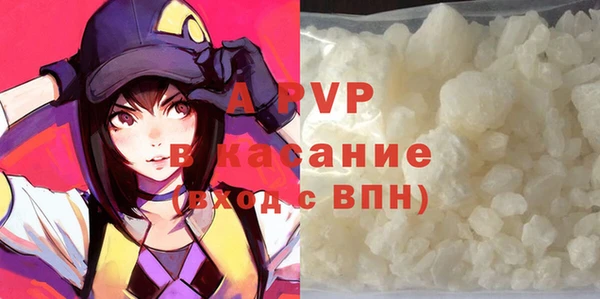 гашик Ладушкин