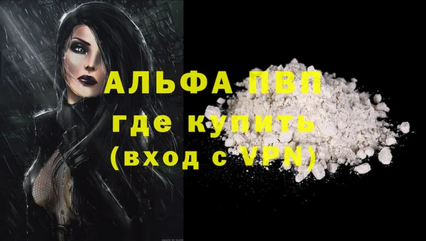 гашик Ладушкин